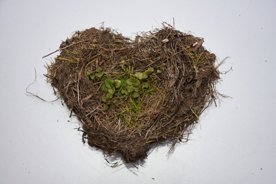 Aktuelles Mitteilungen